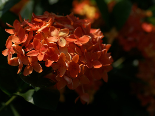 426844 (a): :1600x1200